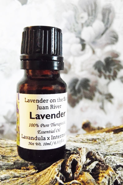 Lavender and Vanilla Infused Jojoba Oil Roll On – Lavender on the San Juan  River